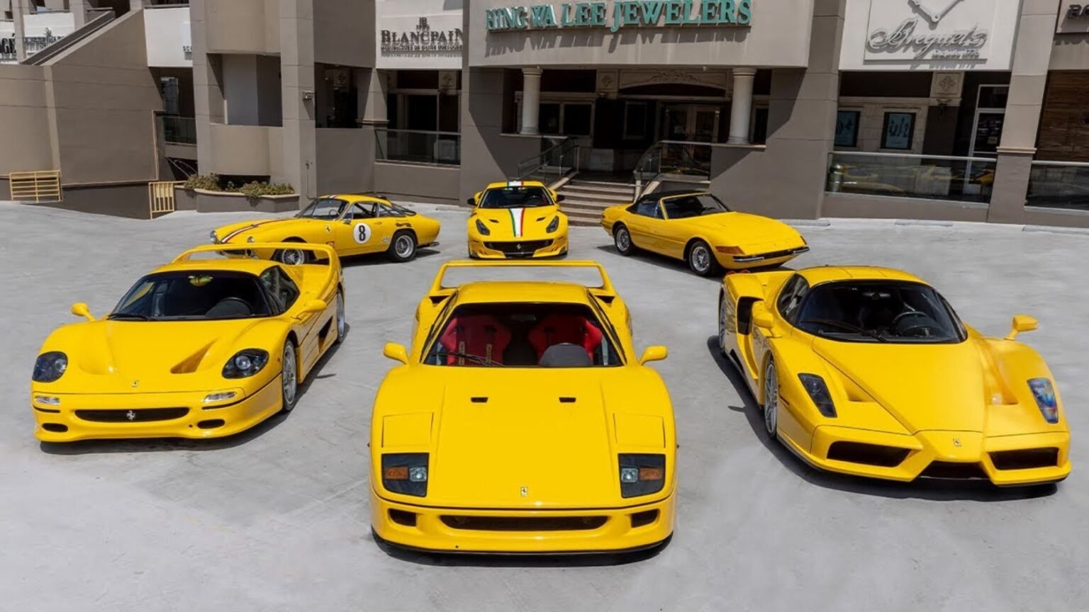 Ferrari Collector David Lee